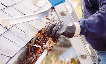 Gutter Cleaning in Buffalo NY Gutter Cleaning Services in Buffalo NY Cheap Gutter Cleaning in Buffalo NY Cheap Gutter Services in Buffalo NY Quality Gutter Cleaning in Buffalo NY Gutter Cleaning in NY Buffalo Gutter Cleaning Services in Buffalo NY Gutter Cleaning Services in NY Buffalo Gutter Cleaning in NY Buffalo Clean the gutters in Buffalo NY Clean gutters in NY Buffalo Gutter cleaners in Buffalo NY Gutter cleaners in NY Buffalo Gutter cleaner in Buffalo NY Gutter cleaner in NY Buffalo Affordable Gutter Cleaning in Buffalo NY Cheap Gutter Cleaning in Buffalo NY Affordable Gutter Services in Buffalo NY